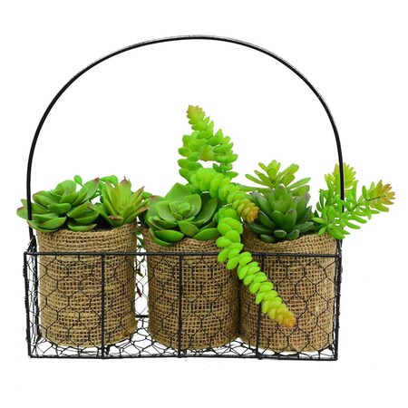 Dare2Decor 11 in. Assorted Succulents in Galvanized Hanger DA3264503